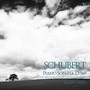 SCHUBERT, F.: Piano Sonata No. 21 / Allegretto in C Minor / Moments musicaux / Ungarische Melodie (Tezza)