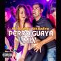 Perro Guaya Mix (feat. Dj Zafre)