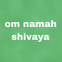 Om Namah Shivaya