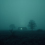 Afterlife