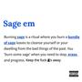 Sage Em (Explicit)