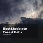 Best Moderate Forest Echo