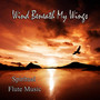 Wind Beneath My Wings – Spiritual Flute Music