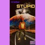 Stupid (Explicit)