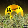 Hi Summer (Explicit)