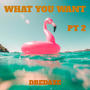 What You Want Pt. 2 (Explicit)