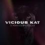 VICIOUS KAT (feat. DJ #BelindZz) [Explicit]