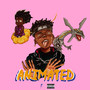 Animated (Explicit)