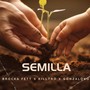 Semilla