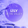 Lily of the Valley - New Age Relaxing Music with Nature Sounds, Practice Yoga & Meditation