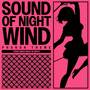 Sound of Night Wind (Phonon Theme) (From 