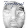 Transparent (feat. Herbology) [Explicit]