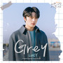 Grey (나쁜 기억 지우개 X LUCY)