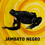 Jambato Negro