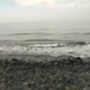 またね。
