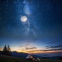 Relaxation Vibes: Serene Musical Escapes