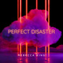 Perfect Disaster