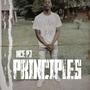 Principles (Explicit)