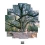 Thaw Out (Explicit)