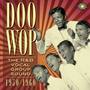 Doo Wop: The R&B Vocal Group Sound 1950 to 1960