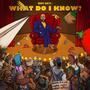 But Hey, What Do I Know? (Explicit)