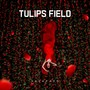 Tulips Field