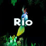 Rio