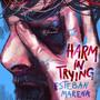 Harm In Trying