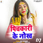 Pichkari Ke Nokh DJ