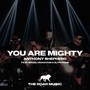 You Are Mighty (Live) [feat. Israel Houghton & BJ Putnam]