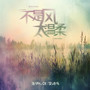不是风太温柔