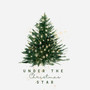 Under the Christmas Star