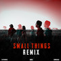 Small Things (Remix)