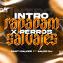 INTRO RAPAPAM X PERROS SALVAJES