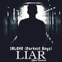 LIAR (New Version)