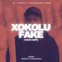XOKOLU FAKE (feat. DEBO & Zenith Hazarika)