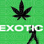 EXOTIC!! (feat. VOHN) [Explicit]