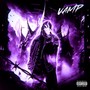 VAMP (Explicit)