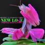 New Love (Preying Mantis Remix)