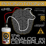 The Analog Cerebrum Ep