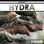 Hydra