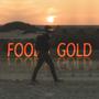 Fools Gold