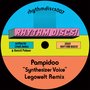 Synthesizer Voice (Legowelt Remix)