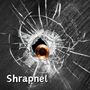 Shrapnel (Radio Edit) [Explicit]