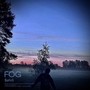 Fog