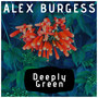 Deeply Green (Explicit)