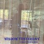Window Yesterday