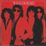 The First Album
