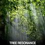 tree resonance