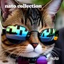 Nato Collection (Explicit)